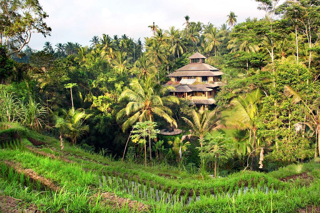 Pelangi Estate Villa Ubud  Exterior photo